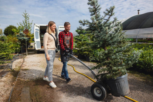 Best Fruit Tree Pruning  in Little Ferry, NJ